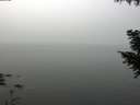 ./images/koeye/fitz-hugh/20200914/fitz-hugh20200914_112501.jpg
