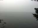 ./images/koeye/fitz-hugh/20200914/fitz-hugh20200914_113001.jpg