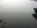 ./images/koeye/fitz-hugh/20200914/fitz-hugh20200914_113501.jpg