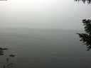 ./images/koeye/fitz-hugh/20200914/fitz-hugh20200914_115501.jpg
