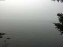 ./images/koeye/fitz-hugh/20200914/fitz-hugh20200914_120001.jpg