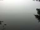./images/koeye/fitz-hugh/20200914/fitz-hugh20200914_120501.jpg