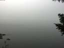 ./images/koeye/fitz-hugh/20200914/fitz-hugh20200914_121001.jpg