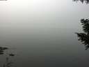 ./images/koeye/fitz-hugh/20200914/fitz-hugh20200914_121501.jpg