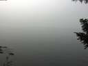 ./images/koeye/fitz-hugh/20200914/fitz-hugh20200914_122001.jpg