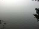./images/koeye/fitz-hugh/20200914/fitz-hugh20200914_123002.jpg