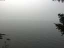 ./images/koeye/fitz-hugh/20200914/fitz-hugh20200914_123501.jpg