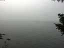 ./images/koeye/fitz-hugh/20200914/fitz-hugh20200914_124001.jpg