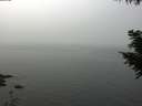./images/koeye/fitz-hugh/20200914/fitz-hugh20200914_124502.jpg
