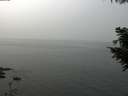./images/koeye/fitz-hugh/20200914/fitz-hugh20200914_125002.jpg