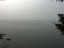 ./images/koeye/fitz-hugh/20200914/fitz-hugh20200914_130002.jpg