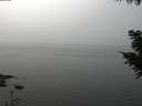 ./images/koeye/fitz-hugh/20200914/fitz-hugh20200914_130502.jpg