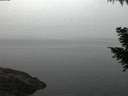 ./images/koeye/fitz-hugh/20200915/fitz-hugh20200915_063501.jpg