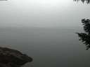 ./images/koeye/fitz-hugh/20200915/fitz-hugh20200915_064001.jpg
