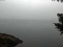./images/koeye/fitz-hugh/20200915/fitz-hugh20200915_065002.jpg