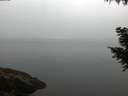 ./images/koeye/fitz-hugh/20200915/fitz-hugh20200915_065501.jpg
