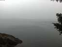 ./images/koeye/fitz-hugh/20200915/fitz-hugh20200915_070501.jpg