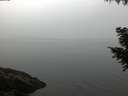 ./images/koeye/fitz-hugh/20200915/fitz-hugh20200915_071001.jpg