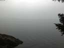 ./images/koeye/fitz-hugh/20200915/fitz-hugh20200915_071501.jpg