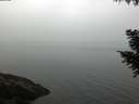 ./images/koeye/fitz-hugh/20200915/fitz-hugh20200915_072001.jpg