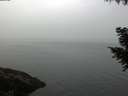 ./images/koeye/fitz-hugh/20200915/fitz-hugh20200915_072501.jpg