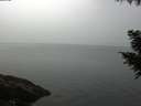 ./images/koeye/fitz-hugh/20200915/fitz-hugh20200915_073501.jpg