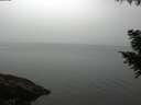 ./images/koeye/fitz-hugh/20200915/fitz-hugh20200915_074001.jpg