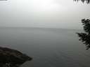 ./images/koeye/fitz-hugh/20200915/fitz-hugh20200915_074502.jpg