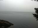 ./images/koeye/fitz-hugh/20200915/fitz-hugh20200915_075002.jpg