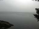 ./images/koeye/fitz-hugh/20200915/fitz-hugh20200915_075502.jpg