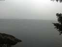 ./images/koeye/fitz-hugh/20200915/fitz-hugh20200915_080002.jpg