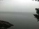 ./images/koeye/fitz-hugh/20200915/fitz-hugh20200915_080502.jpg