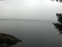 ./images/koeye/fitz-hugh/20200915/fitz-hugh20200915_081002.jpg
