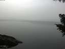 ./images/koeye/fitz-hugh/20200915/fitz-hugh20200915_082002.jpg