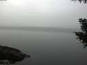./images/koeye/fitz-hugh/20200915/fitz-hugh20200915_082502.jpg