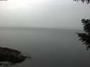 ./images/koeye/fitz-hugh/20200915/fitz-hugh20200915_083502.jpg