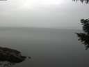 ./images/koeye/fitz-hugh/20200915/fitz-hugh20200915_084002.jpg