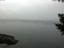 ./images/koeye/fitz-hugh/20200915/fitz-hugh20200915_084502.jpg