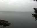 ./images/koeye/fitz-hugh/20200915/fitz-hugh20200915_085002.jpg