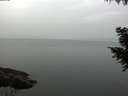 ./images/koeye/fitz-hugh/20200915/fitz-hugh20200915_085501.jpg
