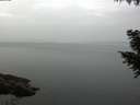 ./images/koeye/fitz-hugh/20200915/fitz-hugh20200915_090501.jpg