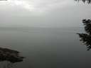 ./images/koeye/fitz-hugh/20200915/fitz-hugh20200915_091001.jpg