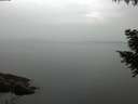 ./images/koeye/fitz-hugh/20200915/fitz-hugh20200915_091501.jpg