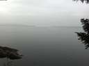 ./images/koeye/fitz-hugh/20200915/fitz-hugh20200915_093501.jpg