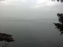 ./images/koeye/fitz-hugh/20200915/fitz-hugh20200915_095001.jpg
