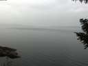 ./images/koeye/fitz-hugh/20200915/fitz-hugh20200915_095501.jpg