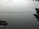 ./images/koeye/fitz-hugh/20200915/fitz-hugh20200915_100501.jpg