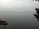 ./images/koeye/fitz-hugh/20200915/fitz-hugh20200915_101001.jpg