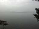 ./images/koeye/fitz-hugh/20200915/fitz-hugh20200915_101501.jpg