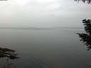 ./images/koeye/fitz-hugh/20200915/fitz-hugh20200915_102001.jpg